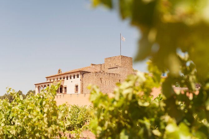 Premium Montserrat & Wine Full Day Tour from Barcelona - Montserrat: monastery, mountain, and free time
