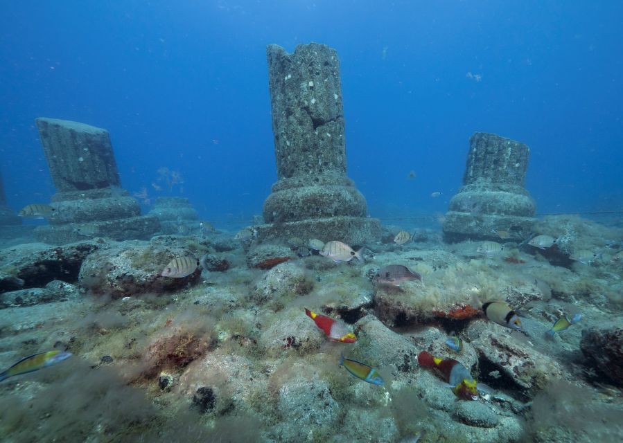 Puerto de Mogán: Submarine Tour - Why 40 minutes is a sensible length
