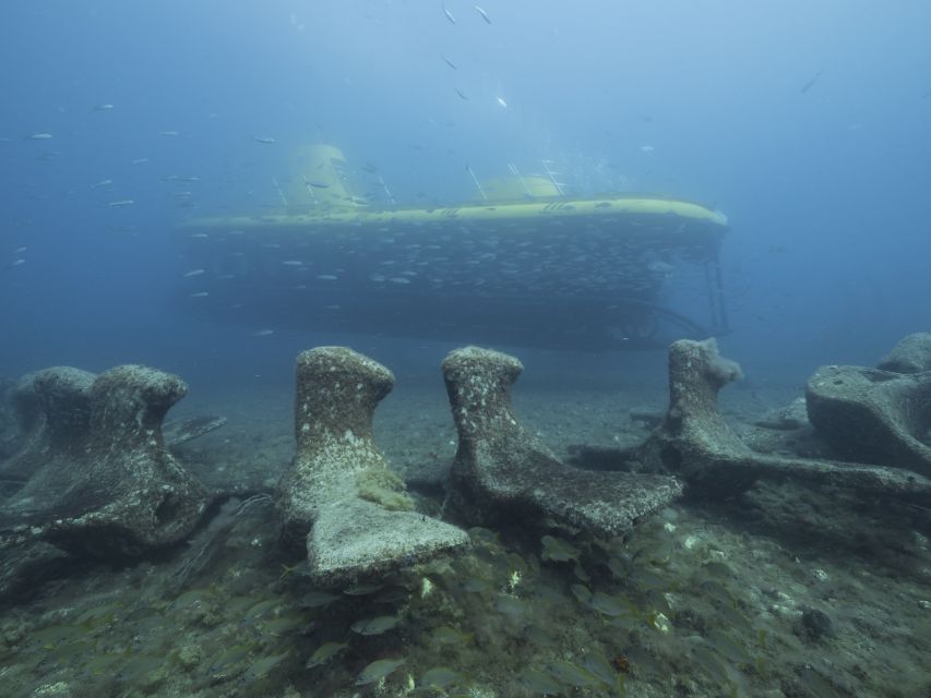 Puerto de Mogán: Submarine Tour - Is the $45 price good value?