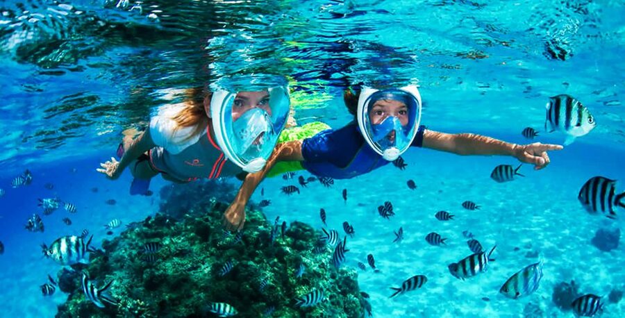 Puerto del Carmen: Dolphin-Watching Speedboat Tour with Swim - Should you book it?