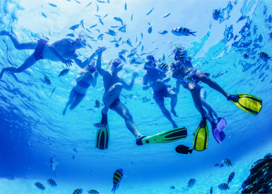 Puerto del Carmen: Dolphin-Watching Speedboat Tour with Swim - Is $41 good value for 1.5 hours?