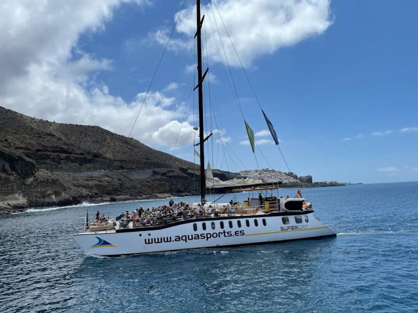 Puerto Rico : 2 hour Dolphin Catamaran Excursion - Should You Book the Puerto Rico Dolphin Catamaran?