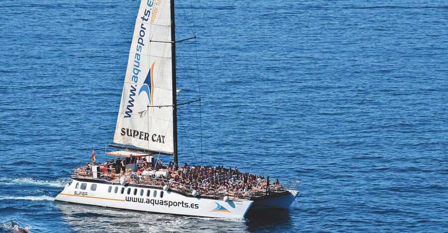 Puerto Rico : 2 hour Dolphin Catamaran Excursion - Two Hours of Open-Sea Wildlife Watching