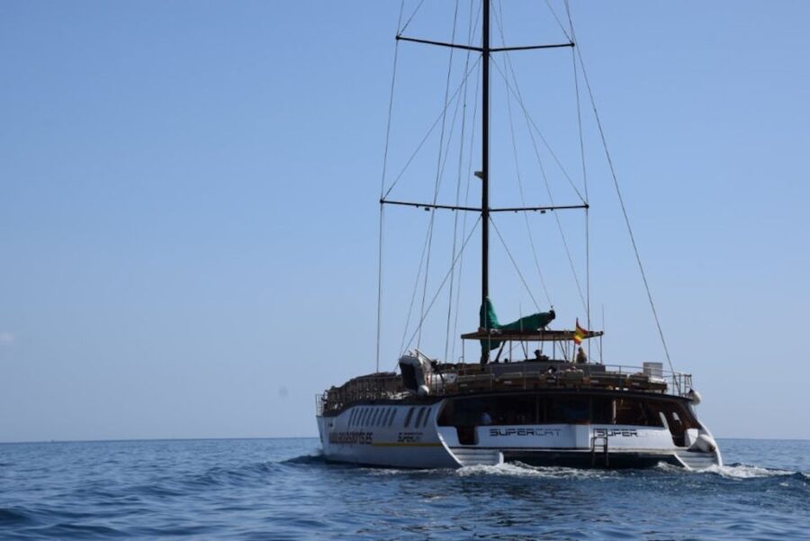 Puerto Rico : 2 hour Dolphin Catamaran Excursion - What the Crew Adds to the Experience