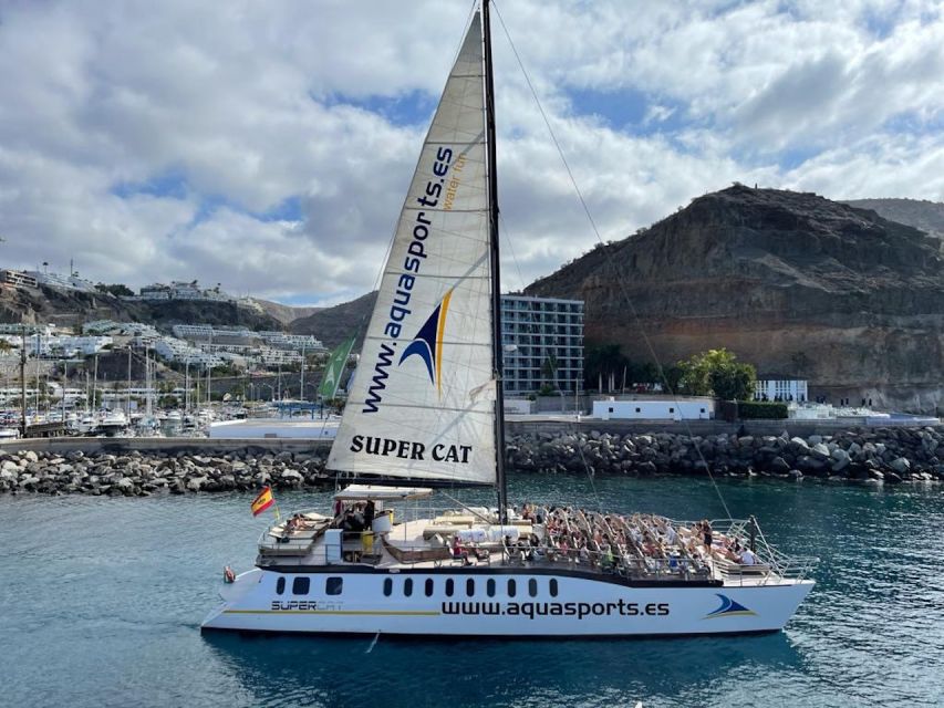Puerto Rico : 2 hour Dolphin Catamaran Excursion - The Onboard Bar and Included Drink