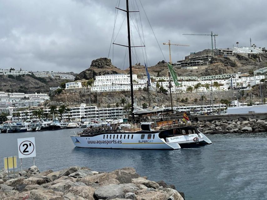 Puerto Rico : 2 hour Dolphin Catamaran Excursion - The Dolphin and Whale Guarantee