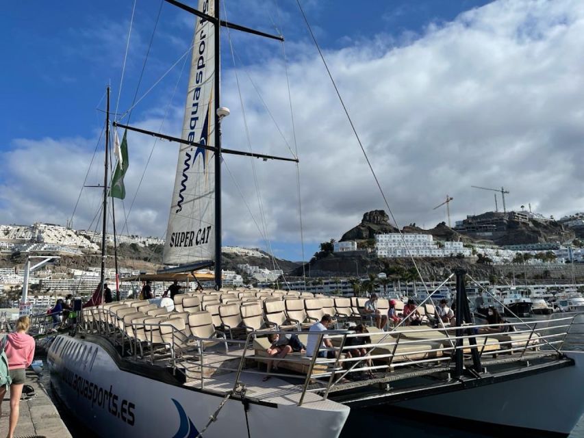 Puerto Rico : 2 hour Dolphin Catamaran Excursion - Pickup From Bahia Feliz to Mogan