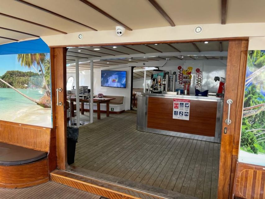 Puerto Rico : 2 hour Dolphin Catamaran Excursion - Who Will Enjoy This Catamaran Trip