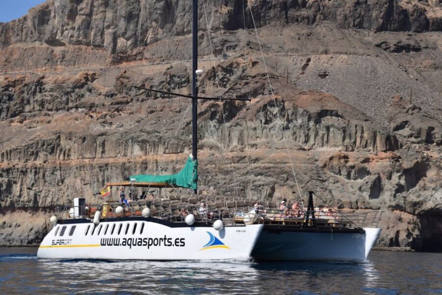 Puerto Rico : 2 hour Dolphin Catamaran Excursion - Booking Details That Matter