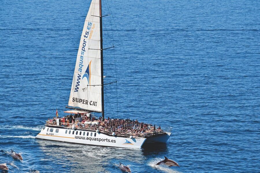 Puerto Rico : 2 hour Dolphin Catamaran Excursion - A Comfortable Catamaran, Not a Fast Thrill Ride
