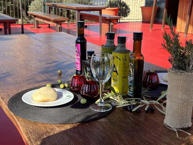 Ronda: LA Almazara LA Organic, Olive Oil Museum and Tasting - Key points at a glance