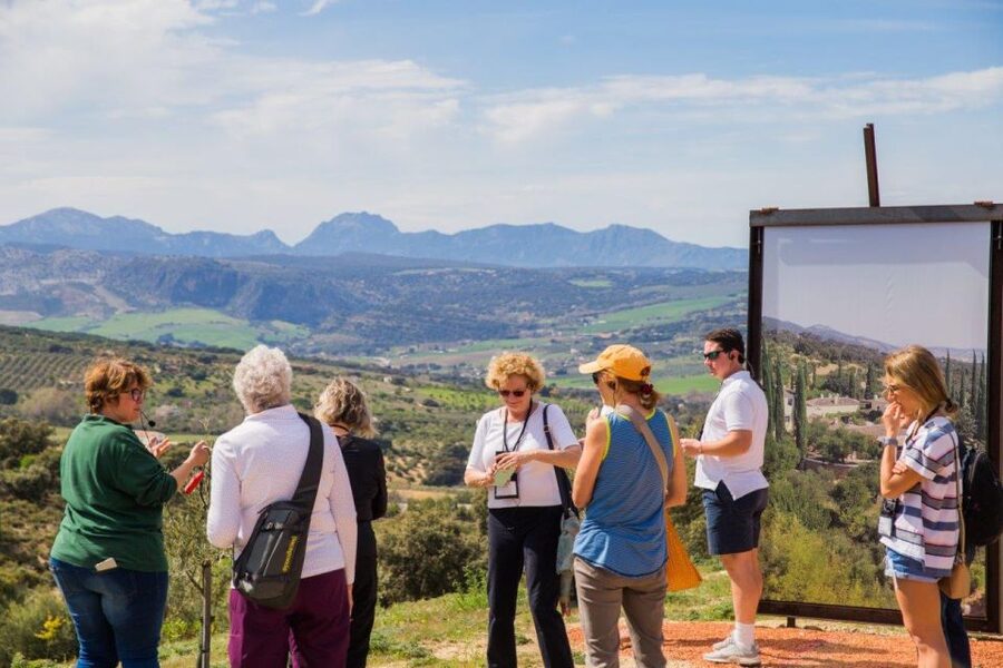 Ronda: LA Almazara LA Organic, Olive Oil Museum and Tasting - Learning to taste olive oil properly