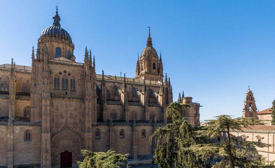 Salamanca: Cathedral of Salamanca Ticket with Audio Guide - Why Salamanca’s two cathedrals matter