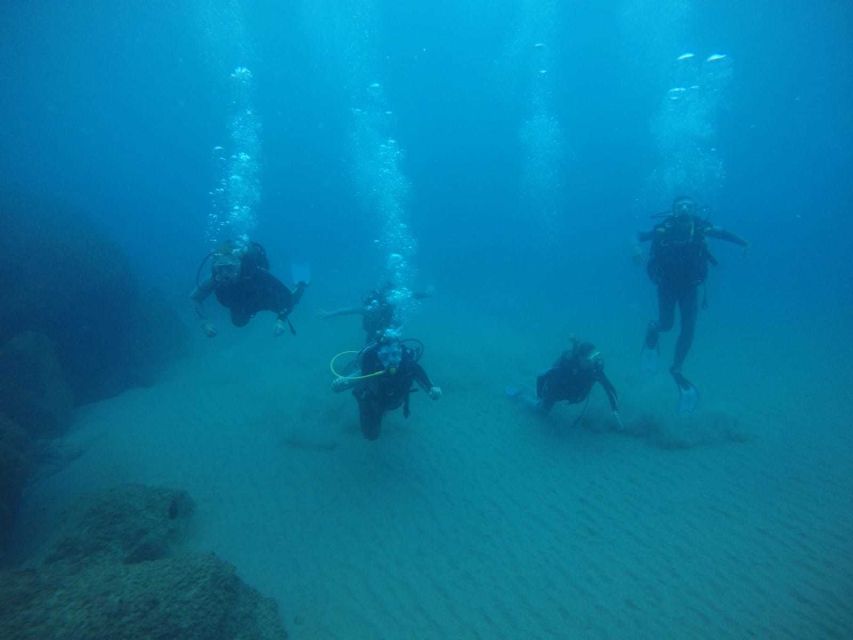 Salou: Scuba Diving for Beginners - Is $100 good value for 1.5 hours?