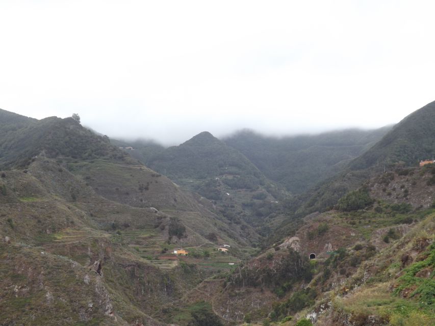 Santa Cruz de Tenerife: 2-Hour Hiking Tour in Anaga Forest - Walking into Tenerife’s oldest corner