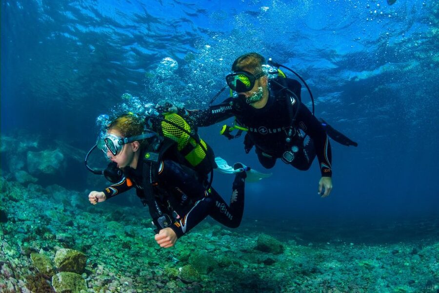Santa Cruz de Tenerife: Beginner's Diving & Introduction - The first hour: equipment, breathing, and getting comfortable