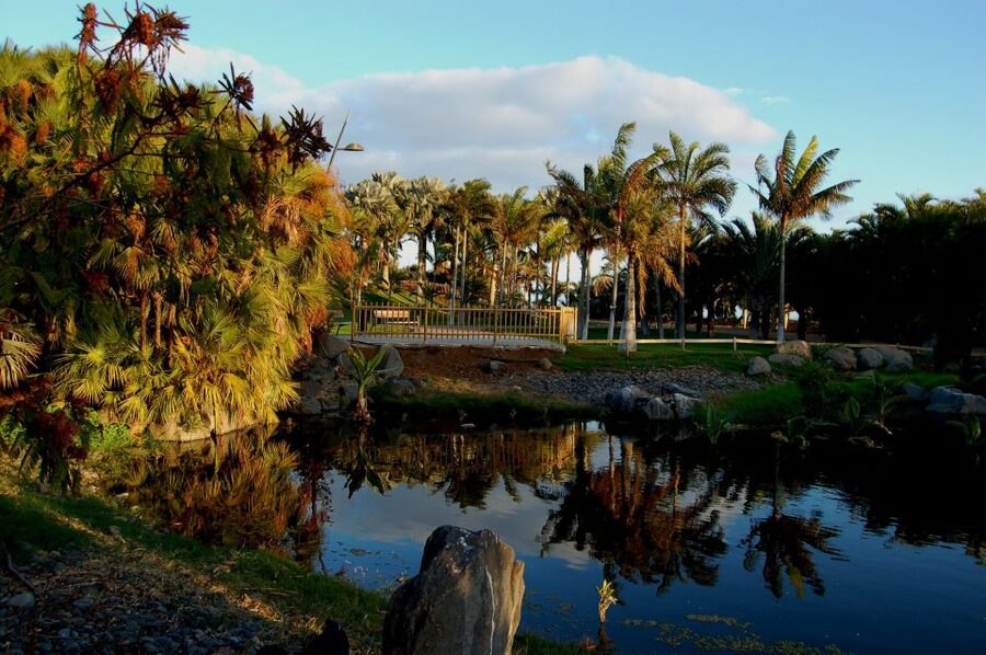 Santa Cruz de Tenerife Palmetum Entry Ticket - What you see on the walk