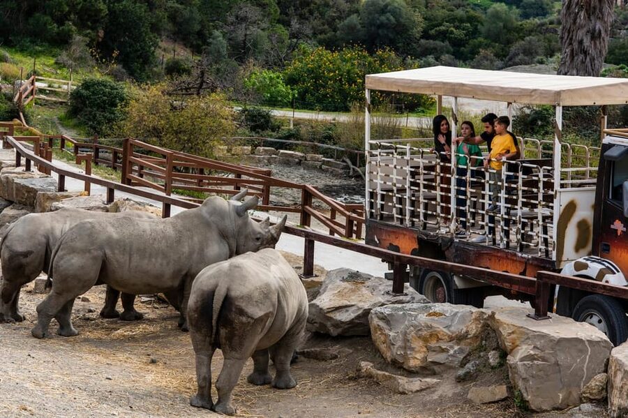 Selwo Aventura Admission Ticket with Skip-the-Line Access - Who will enjoy Selwo Aventura most