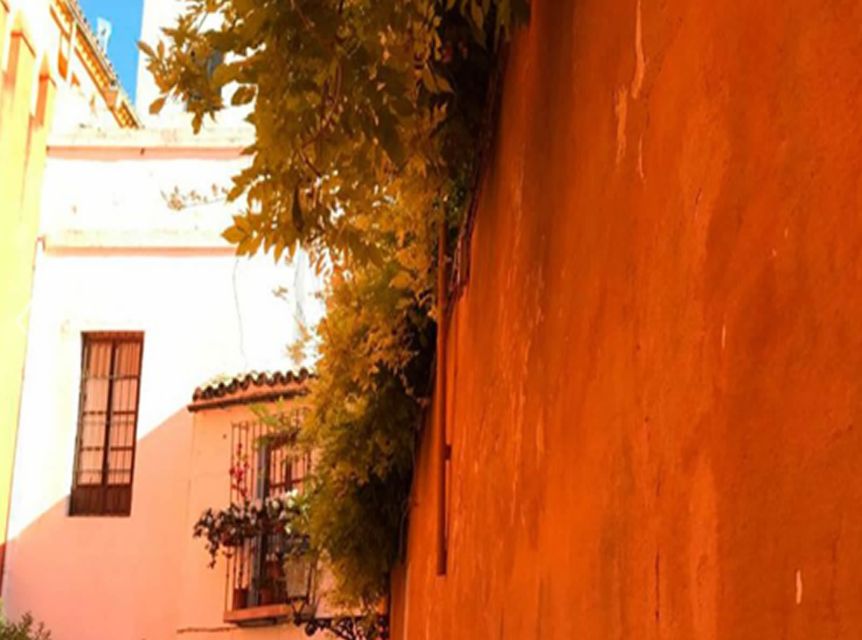 Seville: 1-Hour Walking Tour Barrio de Santa Cruz - Language, pace, and practical comfort