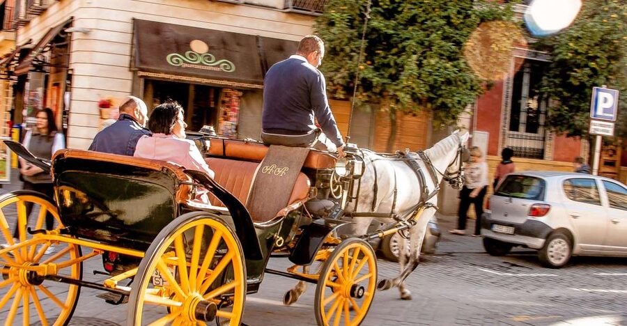 Seville: Authentic and Romantic Horse-Drawn Carriage Ride - Key points to know before booking