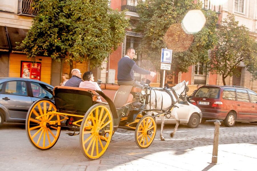 Seville: Authentic and Romantic Horse-Drawn Carriage Ride - What the driver adds to the experience