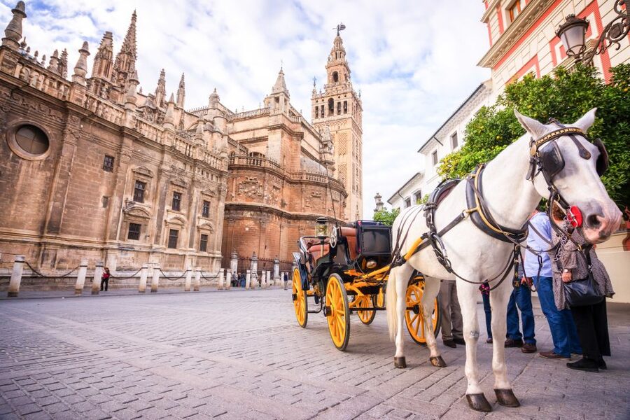 Seville: Cathedral and Alcázar Guided Tour - Climbing La Giralda for a different view