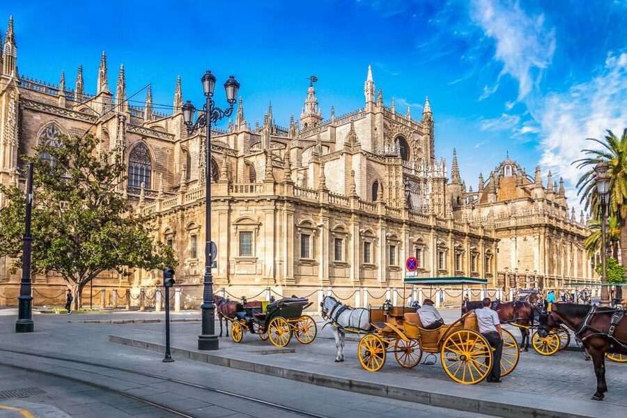 Seville: Cathedral and La Giralda Entry Ticket - Does the skip-the-line ticket really save time?
