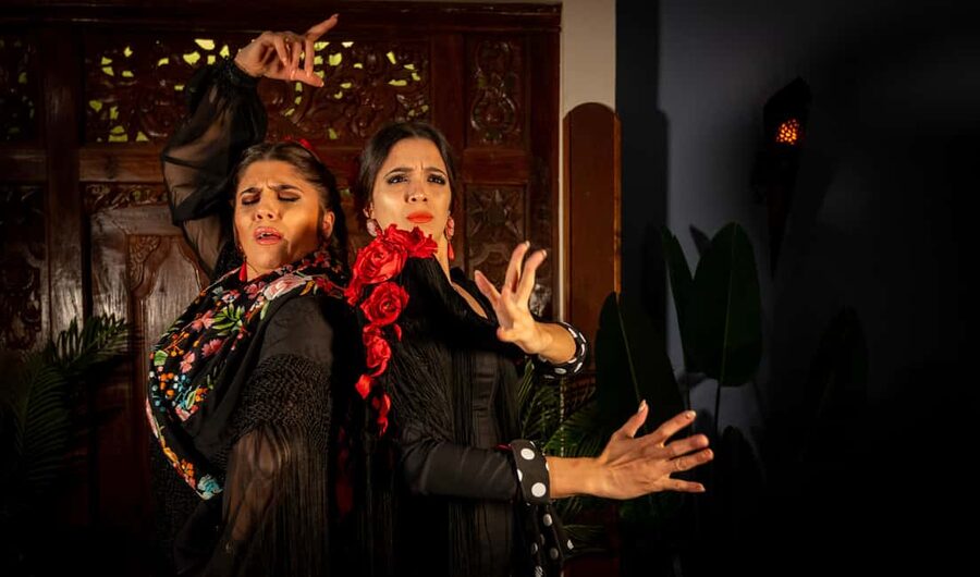 Seville: Flamenco Show at Tablao Almoraima in Triana - What happens during the one-hour show
