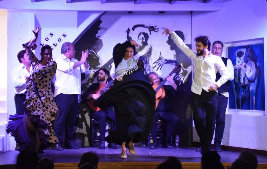 Seville: Flamenco Show at Tablao Los Gallos - How this compares with a large flamenco show