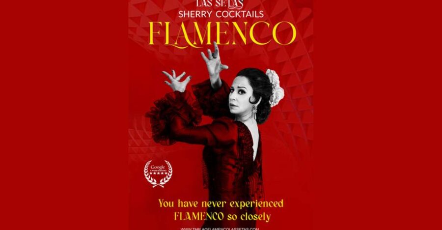 Seville: Flamenco Show Ticket at Tablao Flamenco Las Setas - What the Tablao Flamenco Las Setas experience feels like