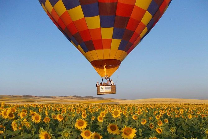Seville Hot-Air Balloon Ride with Breakfast, Cava & Hotel Pick up - A 6 a.m. start from Seville