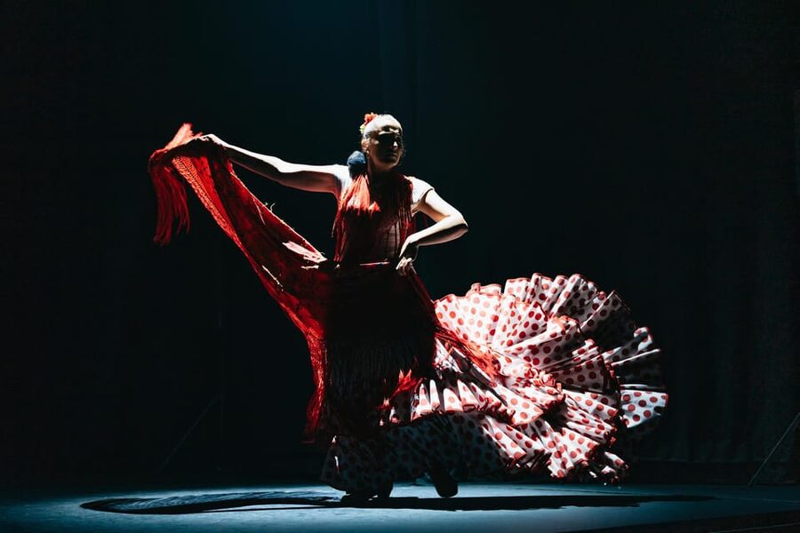 Seville: Live Flamenco Dancing Show Ticket at the Theater - Who will enjoy this most?