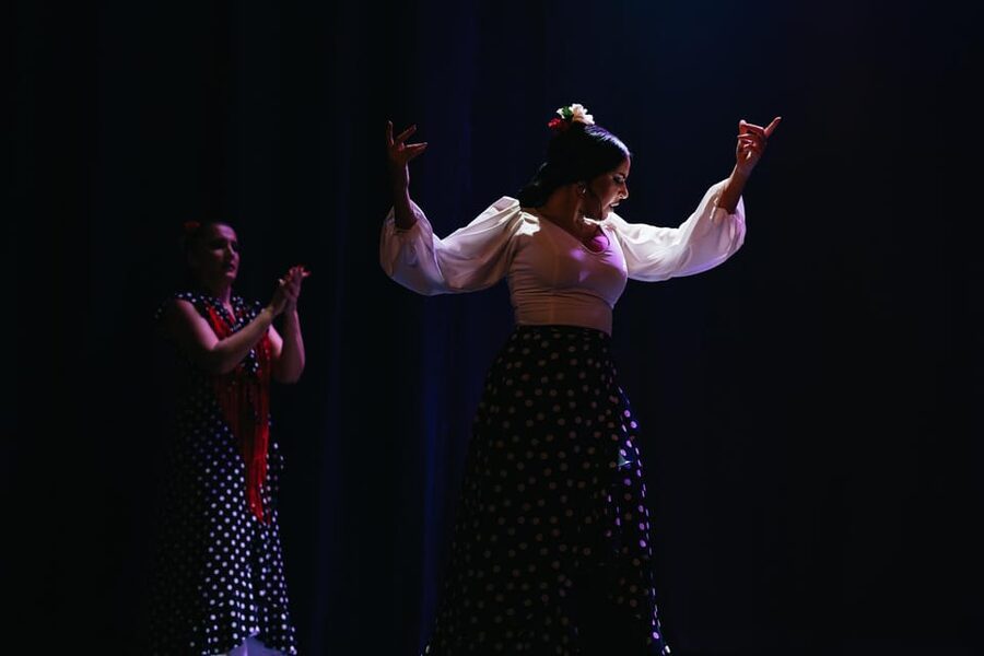 Seville: Live Flamenco Dancing Show Ticket at the Theater - Should you book Teatro Flamenco Sevilla?