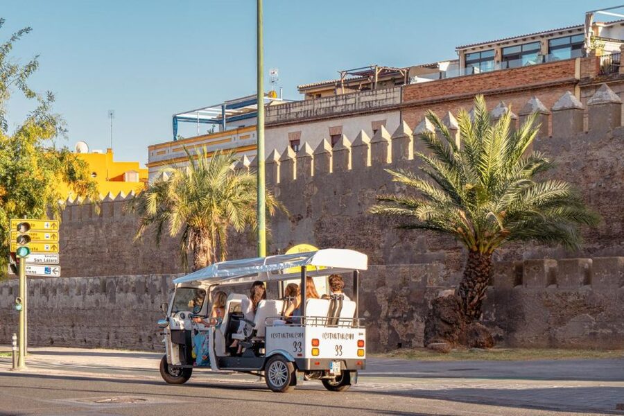 Seville: Private City Tour by Eco Tuk Tuk - San Telmo Palace and the old tobacco factory