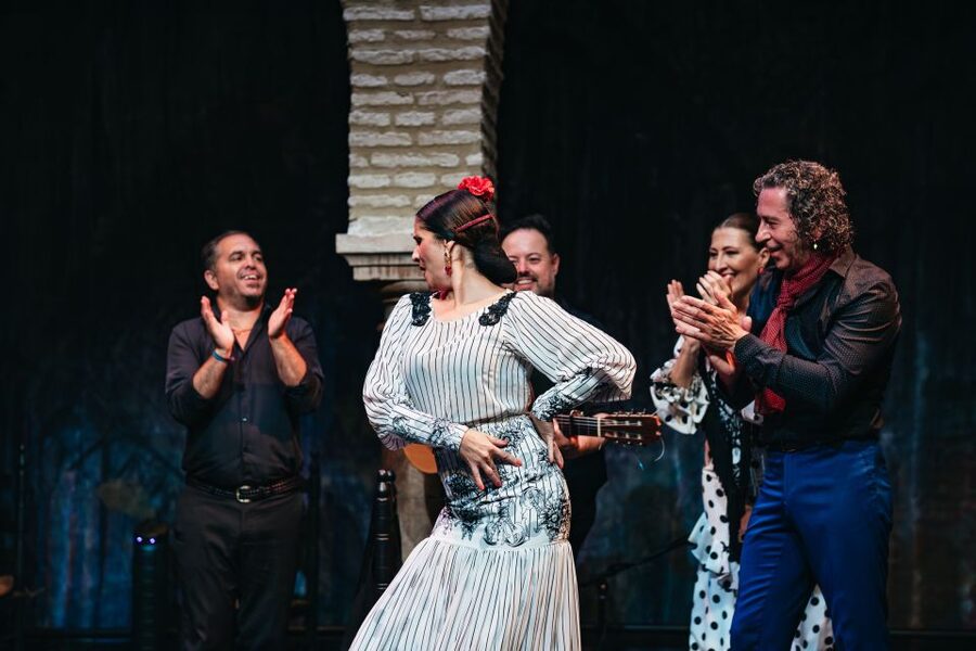 Seville: Puro Flamenco Show with Optional Museum Ticket - Should you book the show or the combined ticket?