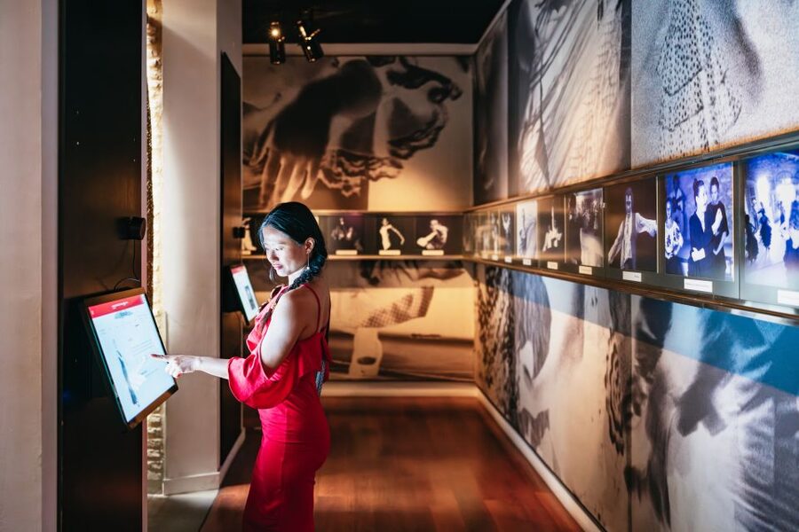 Seville: Puro Flamenco Show with Optional Museum Ticket - The museum option adds useful context
