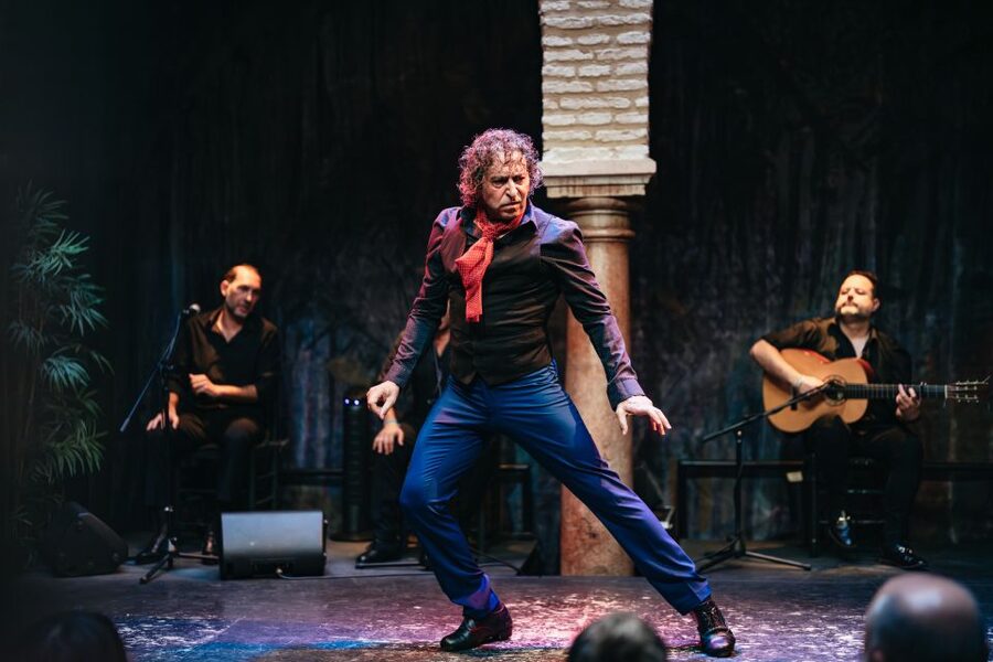 Seville: Puro Flamenco Show with Optional Museum Ticket - Is the performance suitable for children?