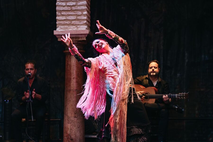 Seville: Puro Flamenco Show with Optional Museum Ticket - What the $34 price buys you