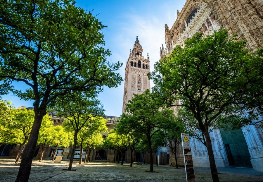 Seville: Small-Group Cathedral and Giralda Tour with Tickets - What the guides add to the experience