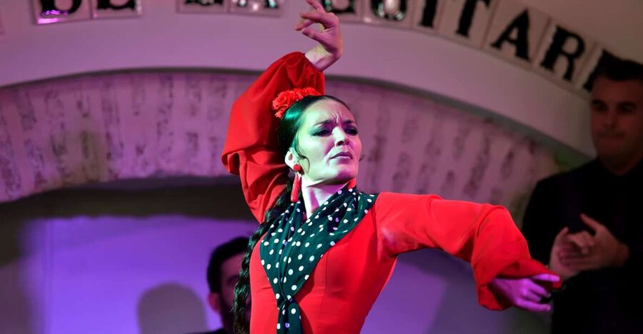 Seville: Ticket to Flamenco Show at La Casa de la Guitarra - The short introduction before the music begins