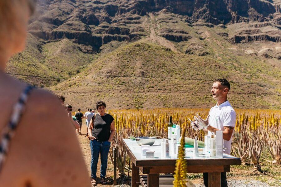 South Gran Canaria: Off-Road Valleys & Villages Jeep Tour - Who should book this experience