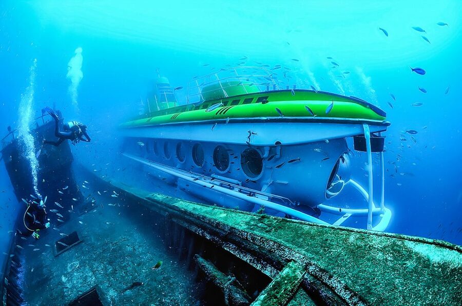 Southern Tenerife: 50-Minute Submarine Dive - What you can see through the 22 windows