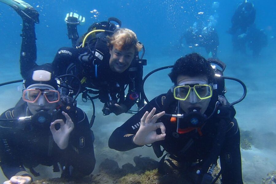 Tenerife: Abades Beach Beginner Diving Experience - What the $100 price really covers