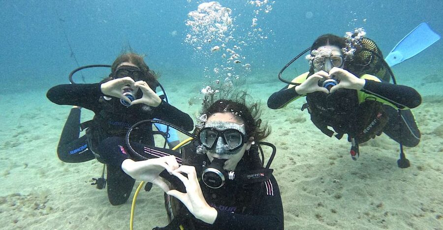 Tenerife: Beginner's Dive at a Spot with Turtle Sightings - A 15-minute speedboat ride along the coast