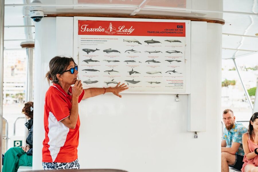 Tenerife: Eco-Yacht Whale and Dolphin Watching and Swimming - Watching whales and dolphins near Los Cristianos