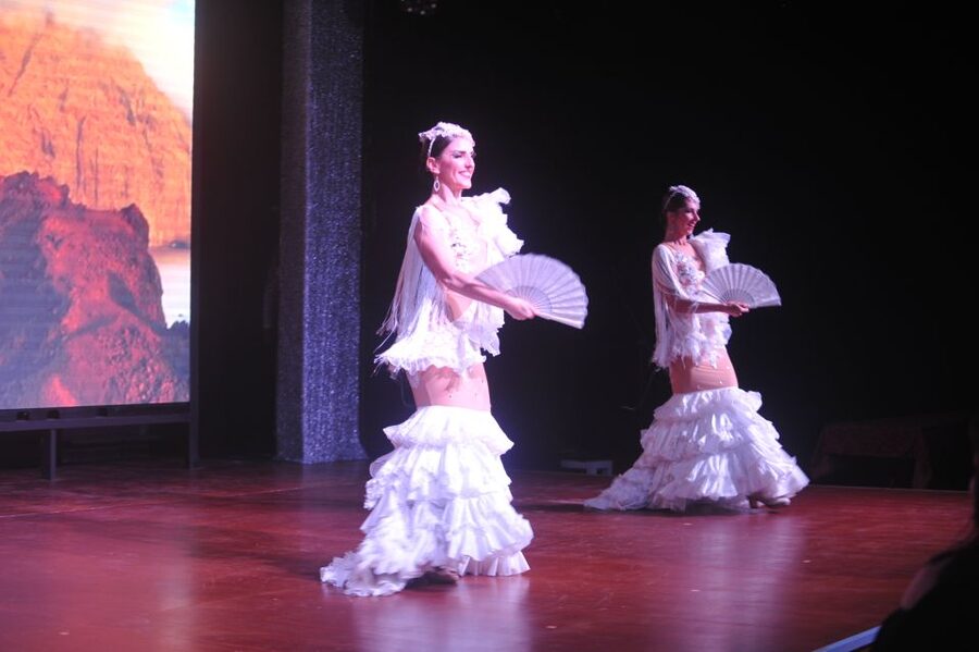 Tenerife: Flamenco Performance at Teatro Coliseo - Who will get the most from this show?