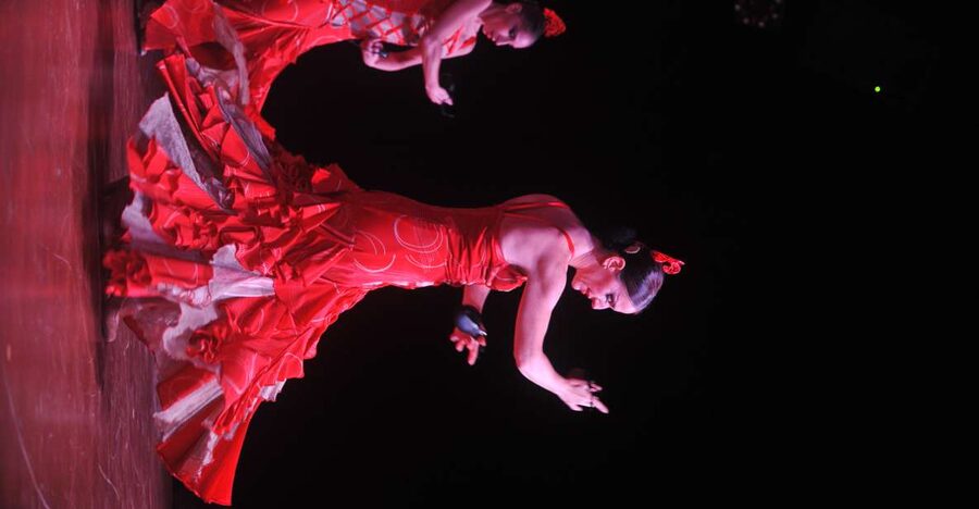Tenerife: Flamenco Performance at Teatro Coliseo - The second half: live guitar, singing, and a love story