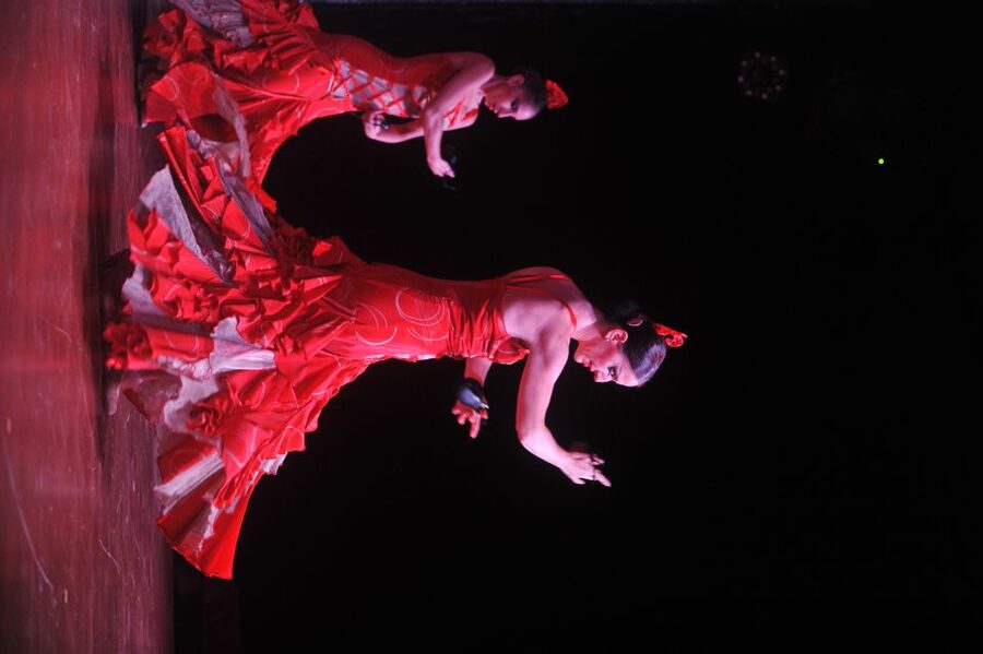 Tenerife: Flamenco Performance at Teatro Coliseo - Sala Coliseo and the setting