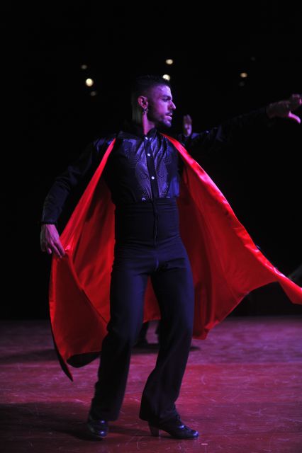Tenerife: Flamenco Performance at Teatro Coliseo - Standard or VIP: which ticket makes sense?