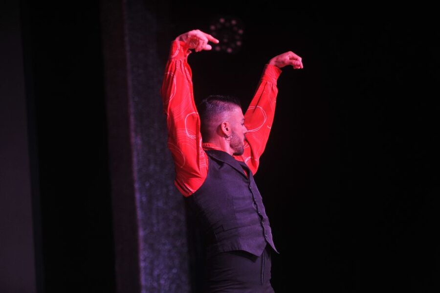Tenerife: Flamenco Performance at Teatro Coliseo - Getting there and getting back